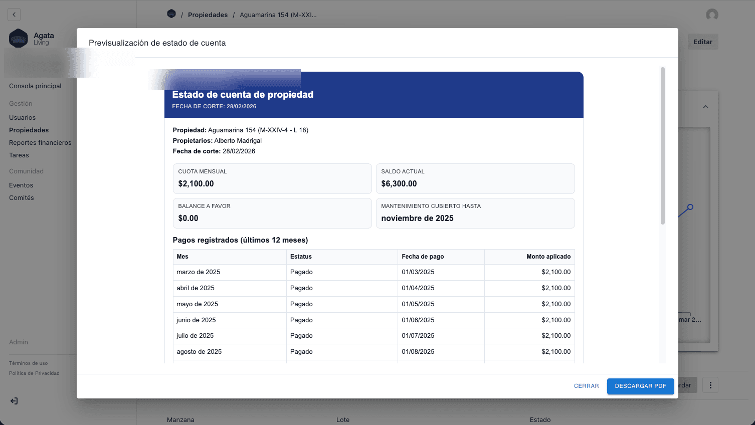 Estado de cuenta de una propiedad individual